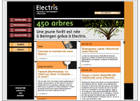 Electris